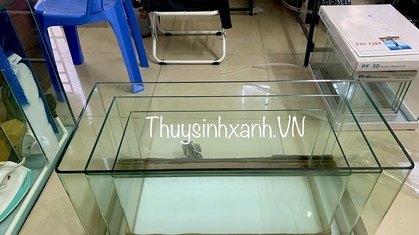 Tất tần tật thông tin về bể cá cảnh đúc 80cm - Kinh nghiệm chăm sóc, lựa chọn, thiết kế và trang trí