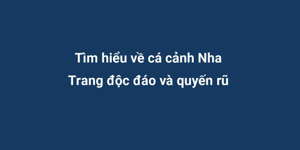 Tìm hiểu về cá cảnh Nha Trang độc đáo và quyến rũ