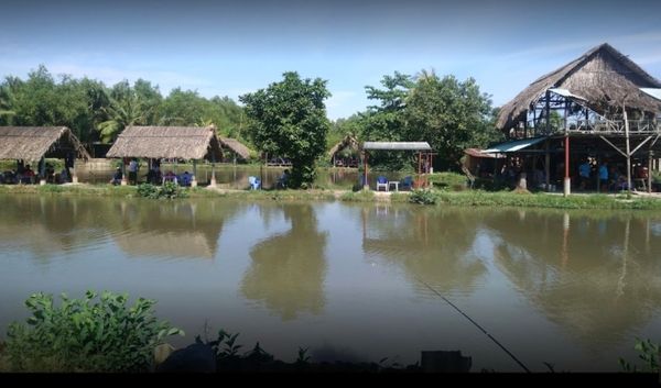 Tìm hiểu về cá cảnh quận 8 - Danh sách các cửa hàng bán cá cảnh uy tín