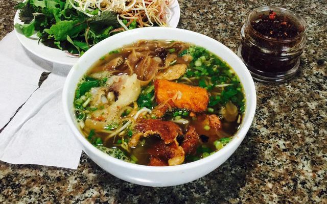 Thông tin về cá cảnh Quốc Việt - Tìm hiểu các loại cây, đá, trang trí trong bể thủy sinh