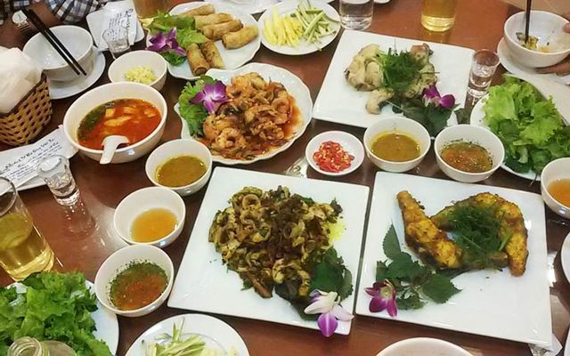 Thông tin về cá cảnh Việt Trì - Cập nhật đầy đủ từng loại