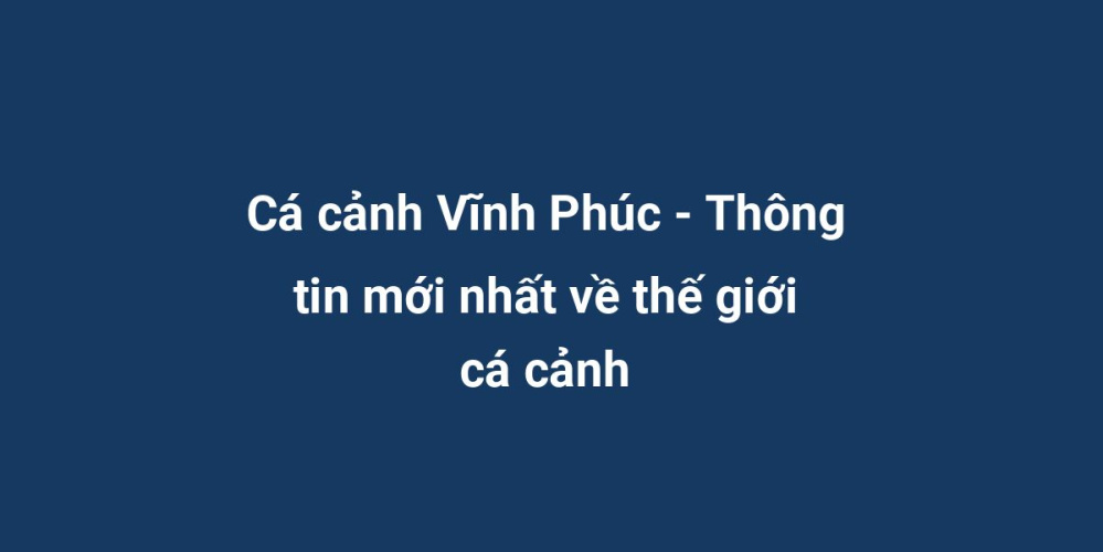 Cá cảnh Vĩnh Phúc - Thông tin mới nhất về thế giới cá cảnh
