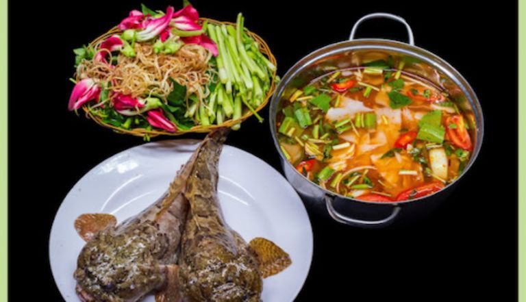 Ếch có ăn được cá cảnh không? Thông tin chi tiết và những điều cần biết