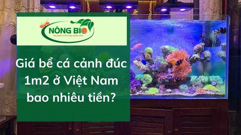 Giá be cá cảnh đúc 1m2 - Bảng báo giá mới nhất 2021