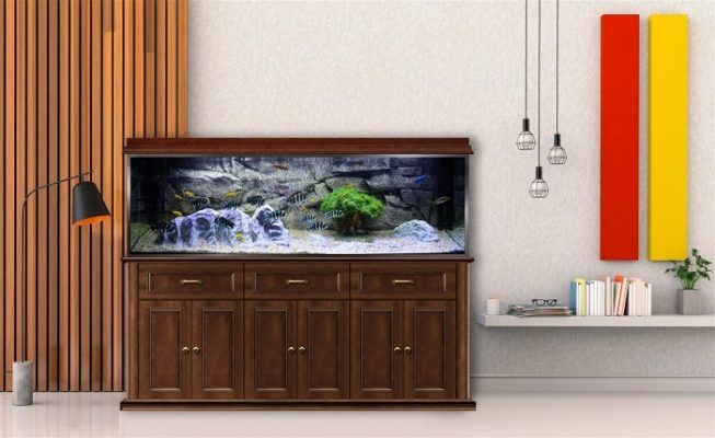 Giá chân be cá cảnh bằng gỗ - Thông tin chi tiết và bảng giá