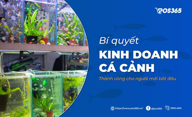 Kinh doanh cá cảnh: Những lưu ý quan trọng bạn cần biết