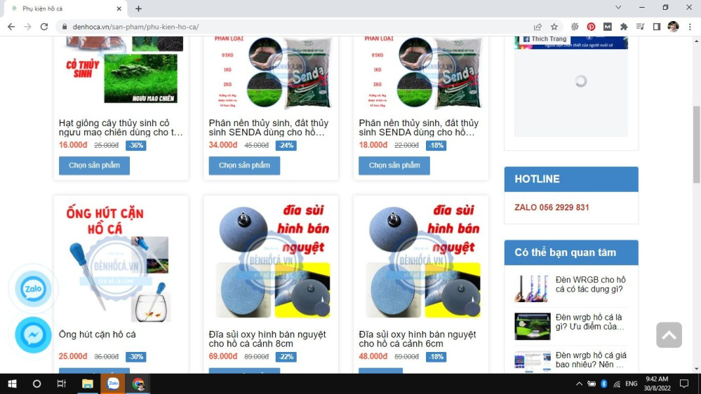 Tìm hiểu các phụ kiện cá cảnh hấp dẫn tại Hà Nội