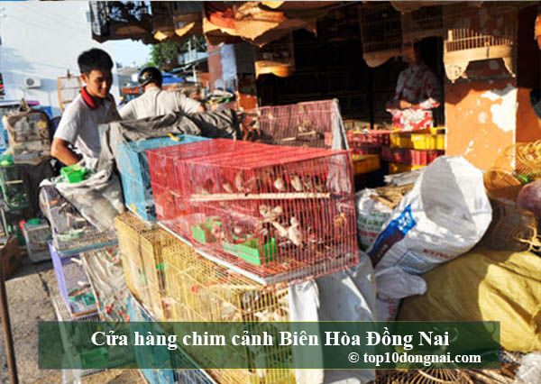 Tìm hiểu thông tin về Shop bán chim cảnh đẳng cấp