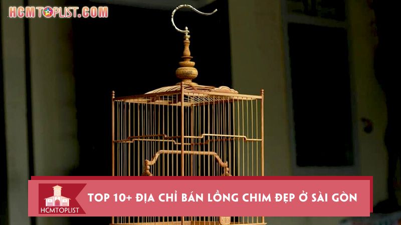 Tìm hiểu về Shop Chim Cảnh Sài Gòn - Địa chỉ uy tín cho những người yêu chim cảnh