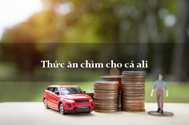 Thức ăn chìm cho cá cảnh - Cách chọn và sử dụng hiệu quả