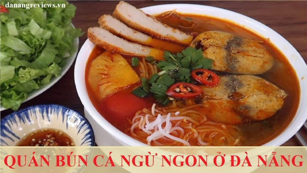 Vật tư cá cảnh Phước Ân - Địa chỉ tin cậy cho người yêu thích thủy sinh