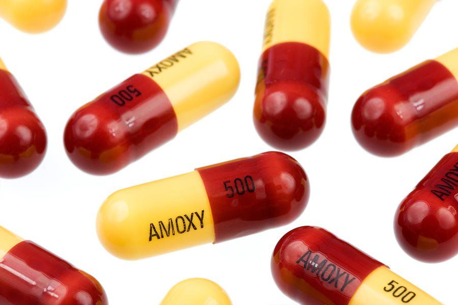 Amoxicillin 500mg Thú Y - Tất tần tật thông tin về loại thuốc này