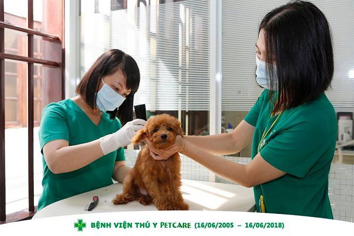 Tìm hiểu về Bệnh viện thú y Đặng Dung - Điểm đến tuyệt vời cho sức khỏe thú cưng của bạn