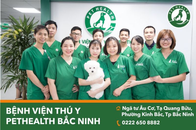 Tìm hiểu Bệnh viện thú y Kinh Bắc Từ Sơn - Địa chỉ chăm sóc sức khoẻ thú cưng tốt nhất