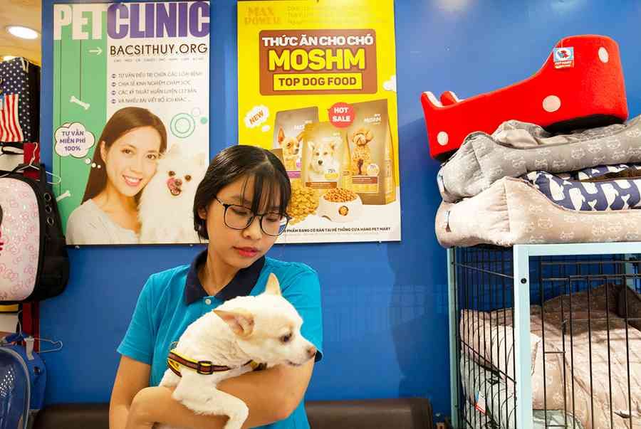 Bệnh viện thú y Ninh Bình - Giải đáp mọi vấn đề sức khỏe thú cưng