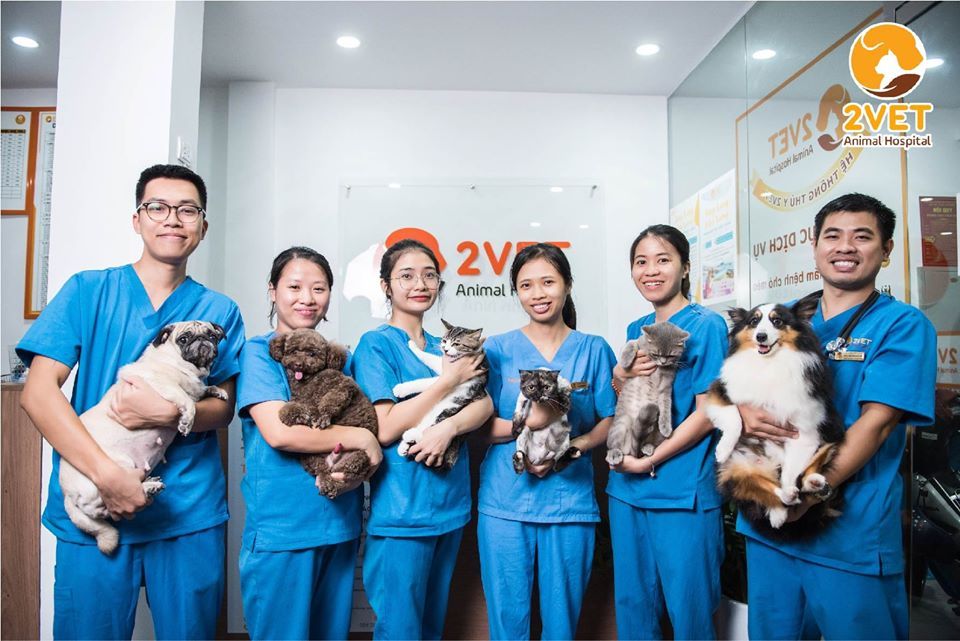Bệnh viện thú y ở Hải Dương: Thông tin đầy đủ về các dịch vụ và chăm sóc thú cưng