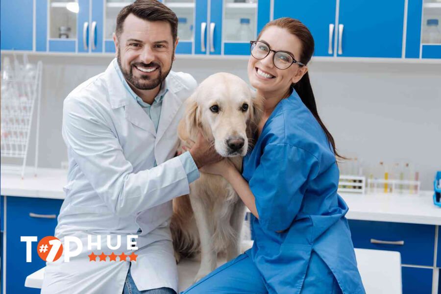 Bệnh viện thú y tại Huế - Nơi cung cấp dịch vụ chăm sóc sức khỏe động vật tốt nhất