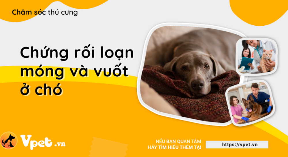 Chứng rối loạn móng và vuốt ở chó