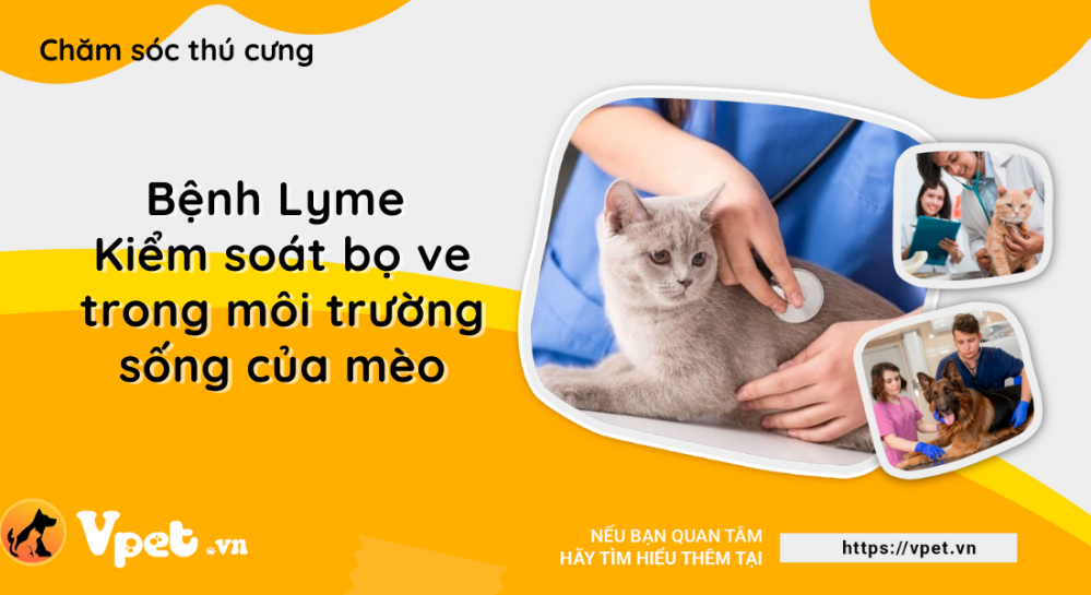 Bệnh Lyme - Kiểm soát bọ ve trong môi trường sống của mèo cưng