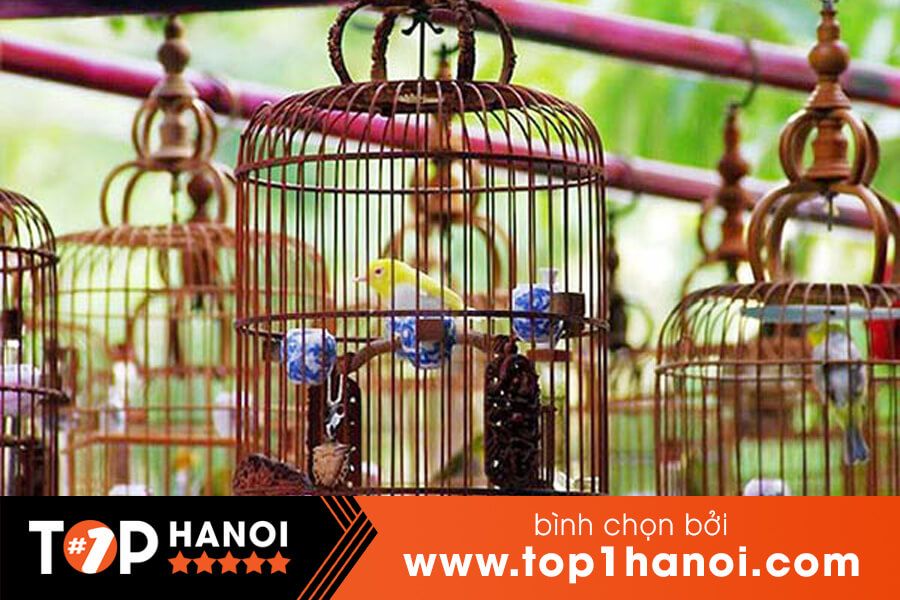 Giá chim cảnh tại Hà Nội - Bảng giá mới nhất năm 2021