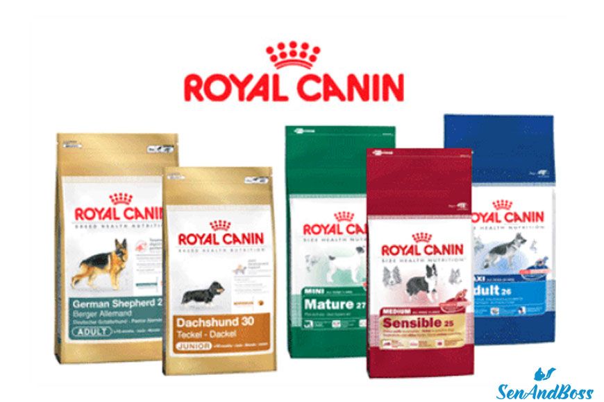 Hạt thức ăn cho chó Royal Canin: Thực phẩm dinh dưỡng tốt nhất cho vật nuôi của bạn