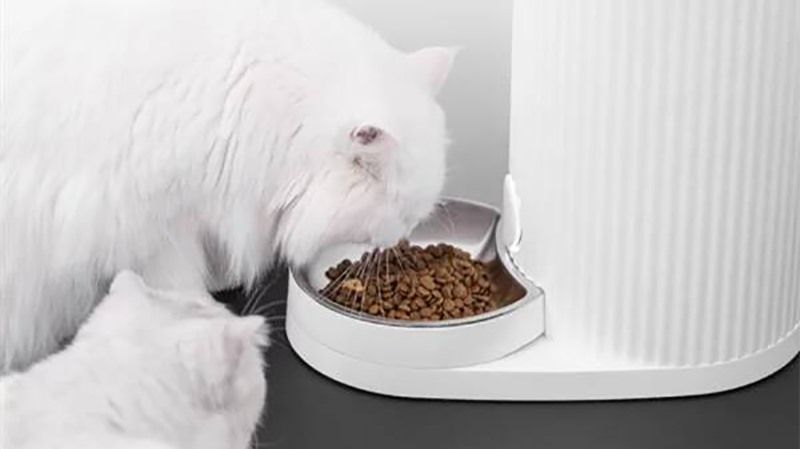 Tại sao máy thức ăn cho chó mèo thông minh Furrytail trở thành lựa chọn hàng đầu của các chủ nuôi?