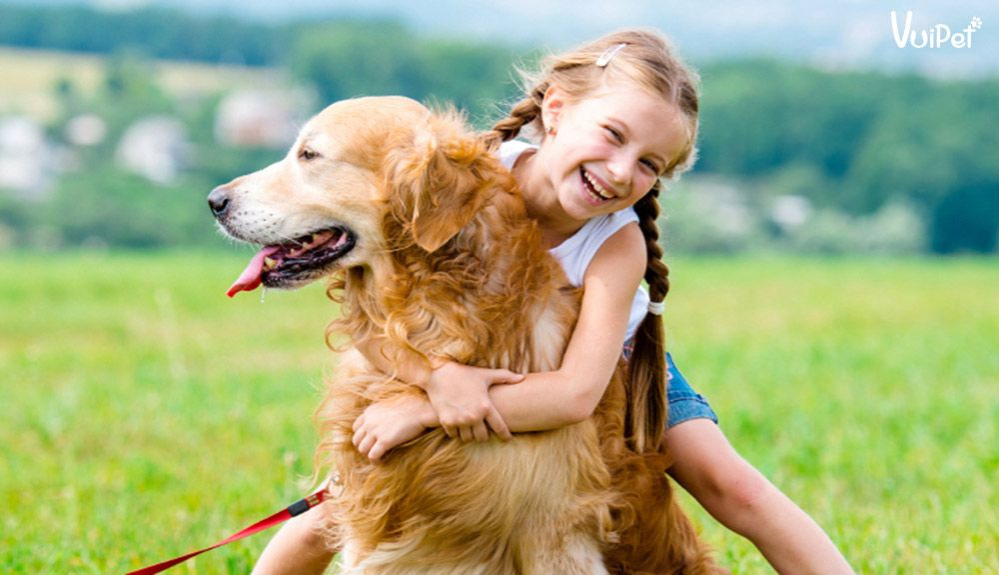 Tìm hiểu về những giống chó phù hợp với trẻ em
