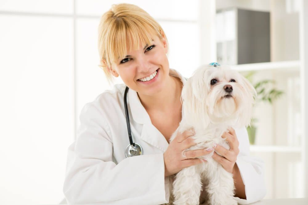 Phòng khám thú y Cô Mười - Dịch vụ chăm sóc sức khỏe cho thú cưng trọn vẹn