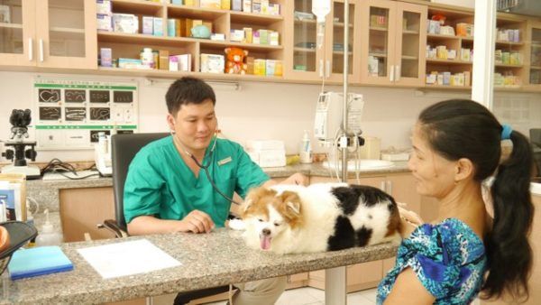 Phòng khám thú y Thanh Xuân – Địa chỉ tin cậy cho sức khỏe thú cưng của bạn
