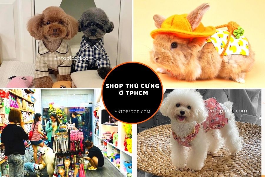 Shop Thú Cưng Quận Tân Phú - Địa Chỉ Tin Cậy Cho Chó Mèo Yêu Của Bạn