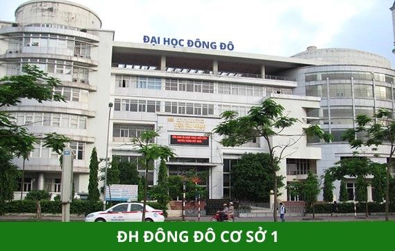 Top 5 trường đào tạo thú y học hàng đầu tại Việt Nam