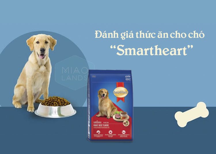 Tìm hiểu về thức ăn cho chó Smartheart Puppy