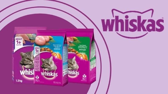 Thực phẩm cho mèo Whiskas 3kg - Tất cả thông tin mà bạn cần biết