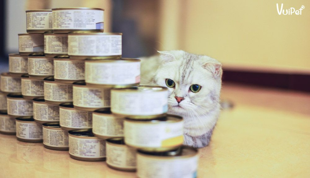 Thức ăn pate cho mèo - Cung cấp dinh dưỡng đầy đủ cho thú cưng của bạn