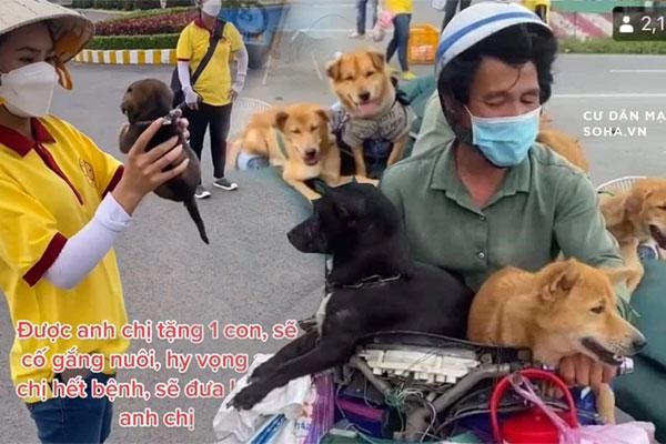 15 con chó đáng yêu và thông minh bạn nên biết