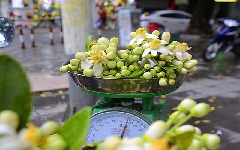 Tính toán chính xác: 20kg bằng bao nhiêu gam?