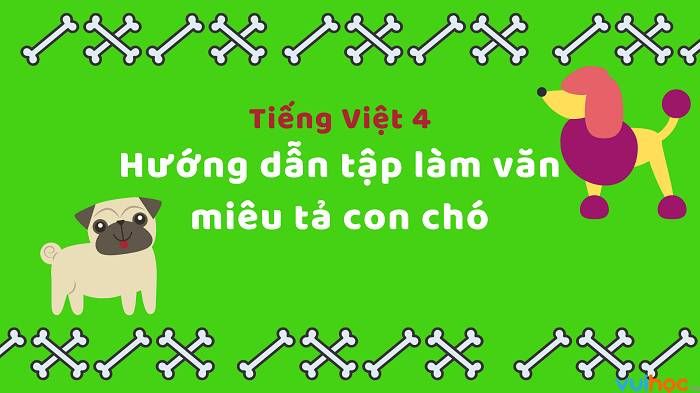 Thông tin chi tiết về 4 con chó bạn cần biết