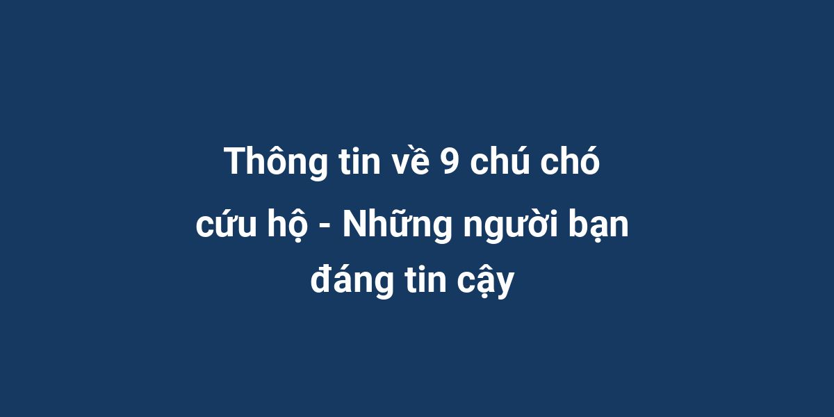 Thông tin về 9 chú chó cứu hộ - Những người bạn đáng tin cậy