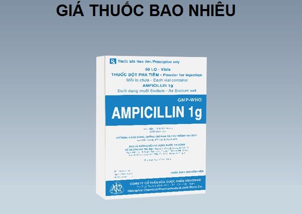 Ampicillin giá bao nhiêu? Giải đáp mọi thắc mắc về giá cả thuốc ampicillin