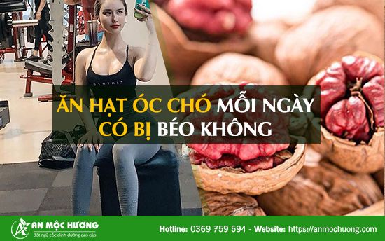 Ăn hạt óc chó có béo không? Thông tin chi tiết về lợi ích và tác hại