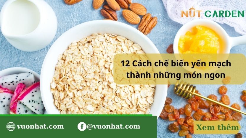 Tìm hiểu lợi ích tuyệt vời của việc ăn yến mạch