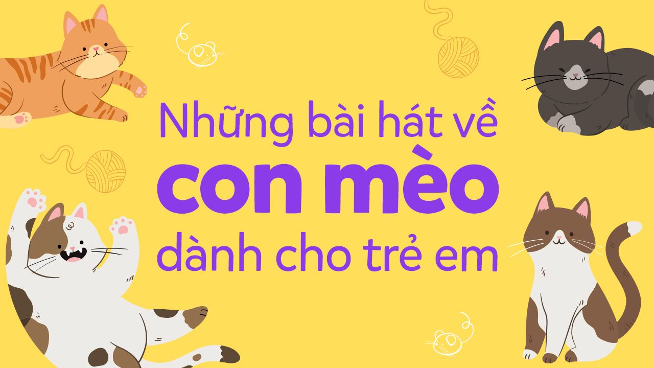 Tìm hiểu về bài con mèo và những điều thú vị xung quanh chúng