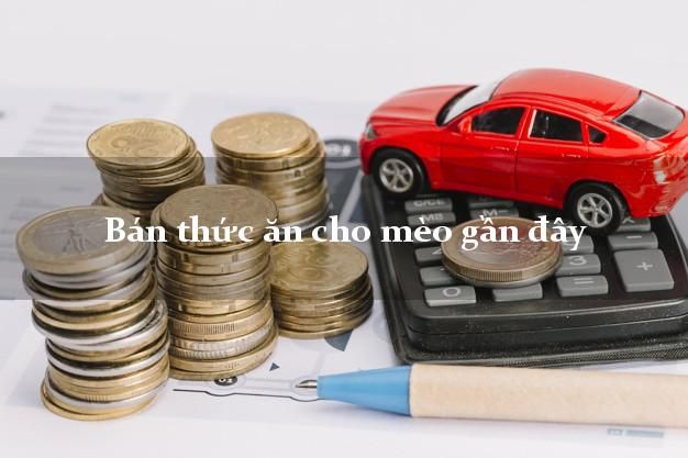 Thông tin mới nhất về bán thức ăn cho mèo gần đây: Các loại thức ăn đáng chú ý