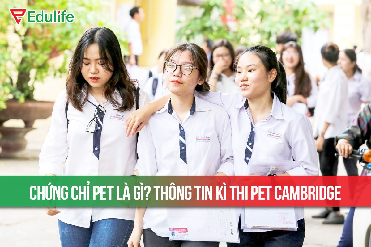 Tác Dụng Đáng Ngạc Nhiên Của Bằng Pet Mà Bạn Chưa Từng Nghe Tới