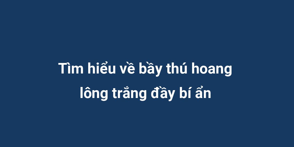 Tìm hiểu về bầy thú hoang lông trắng đầy bí ẩn