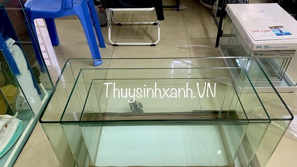 Bể cá 60x30x30 - Hướng dẫn từ A đến Z về lựa chọn, thiết kế và chăm sóc