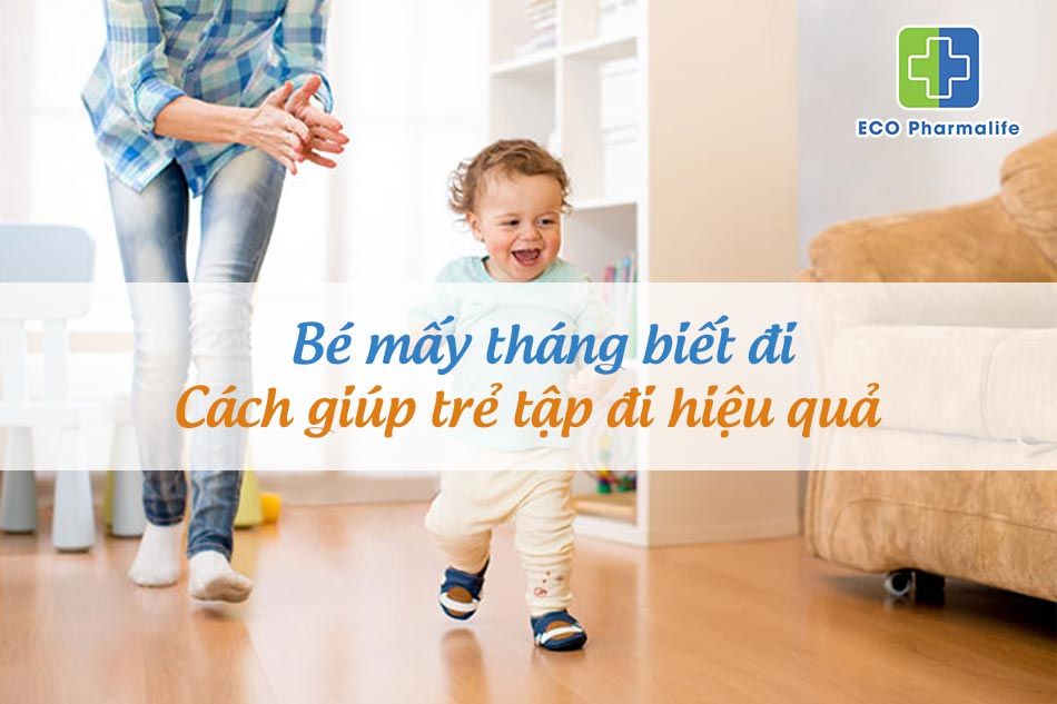 Bé mấy tháng biết đi - Những thông tin cần biết cho ba mẹ