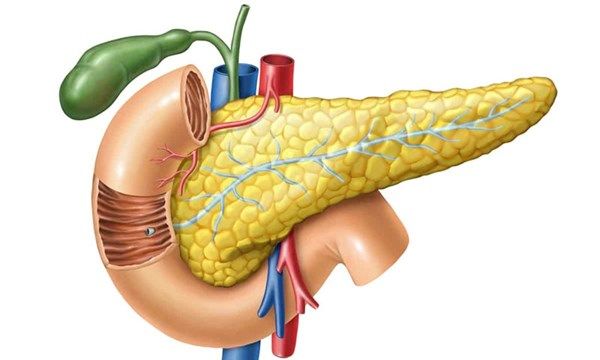 Bệnh viêm tủy có nguy hiểm không? Tìm hiểu ngay để bảo vệ sức khỏe của bạn