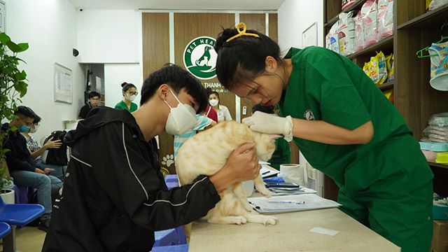 Bệnh viện thú y Bình An - Trung tâm chăm sóc sức khỏe thú cưng hàng đầu