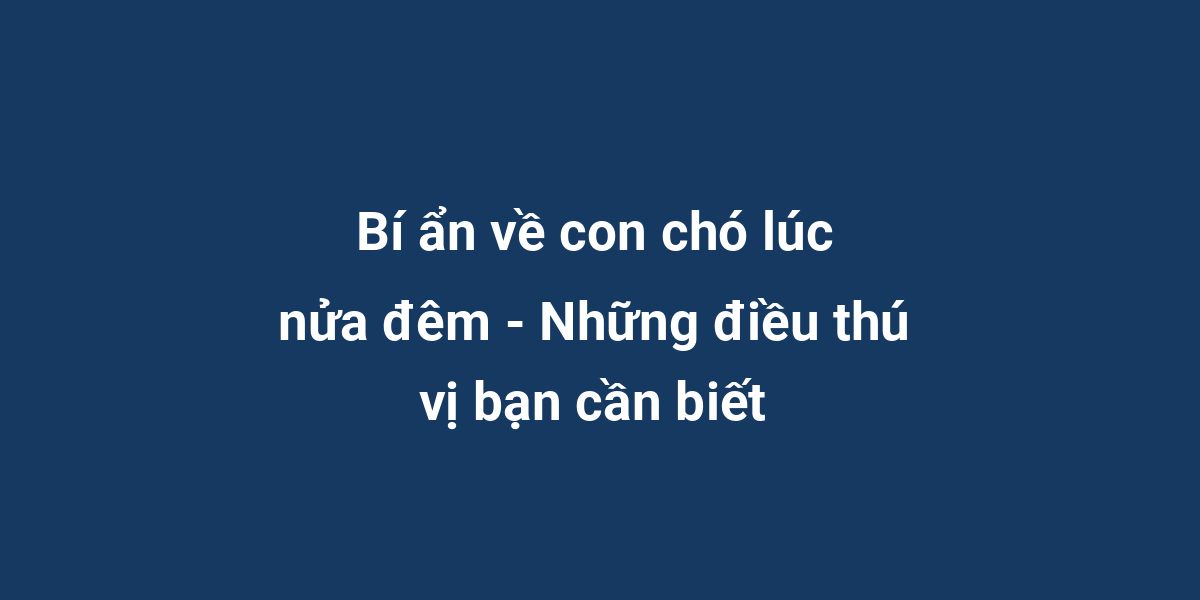 Bí ẩn về con chó lúc nửa đêm - Những điều thú vị bạn cần biết